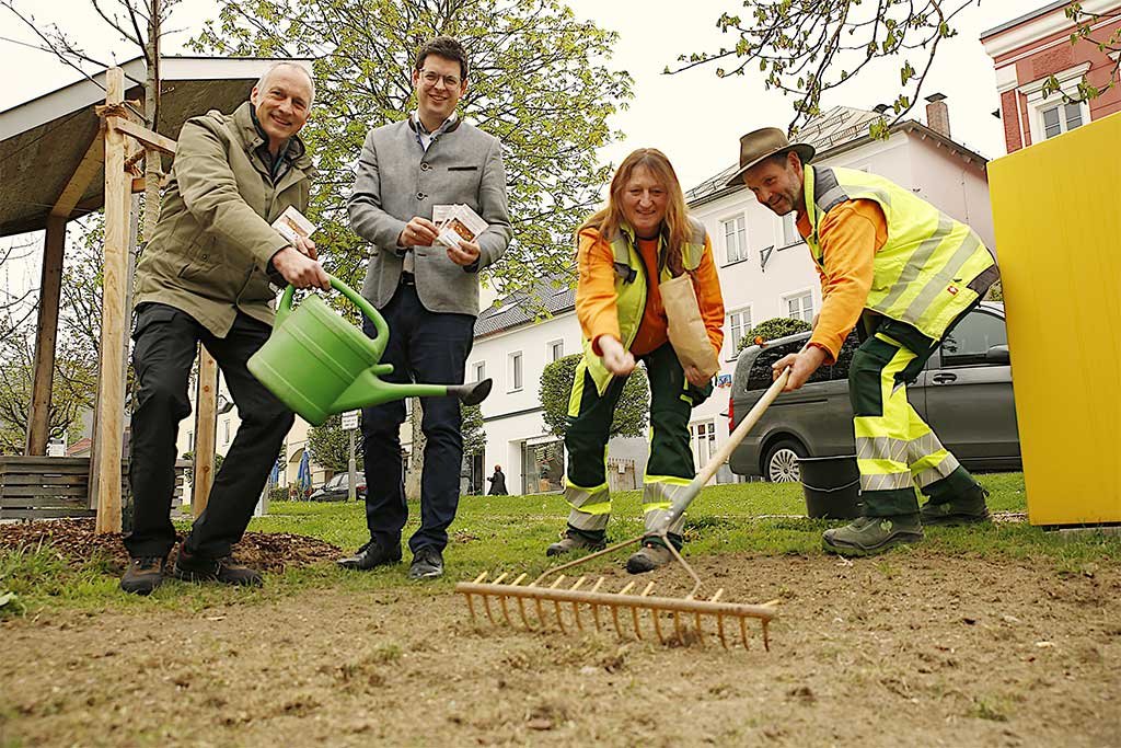 Blumenträume Schönberg