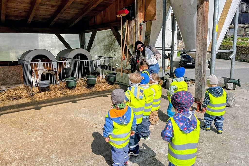 Zum Besuch im Kuh-Kindergarten