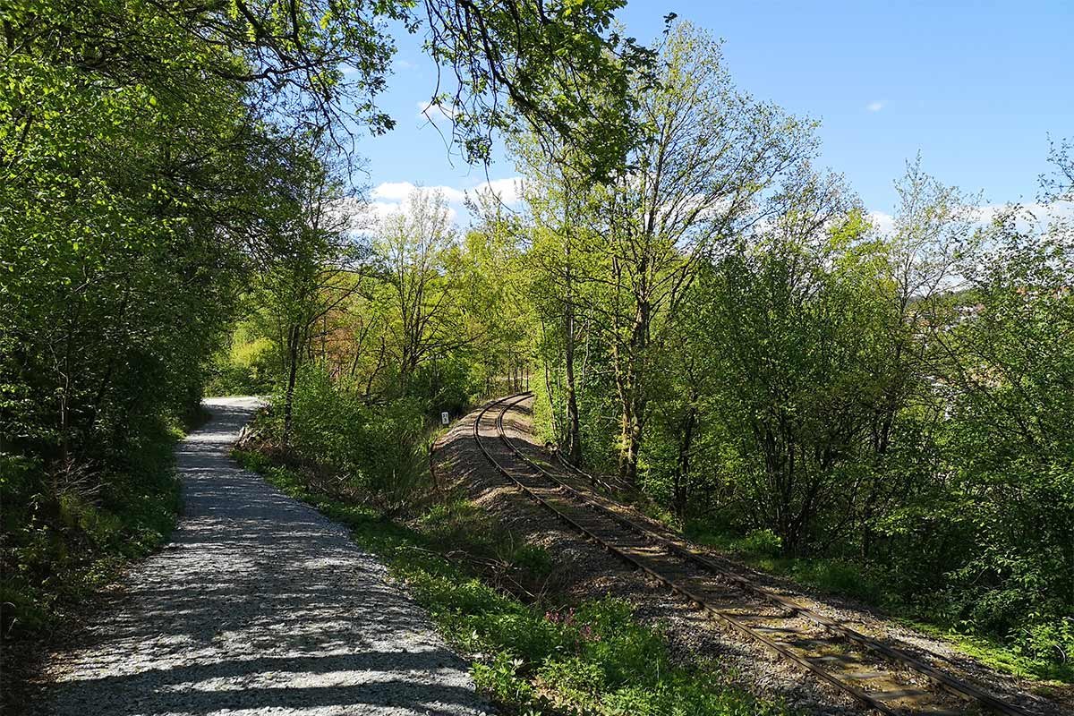 Botanische Wanderung