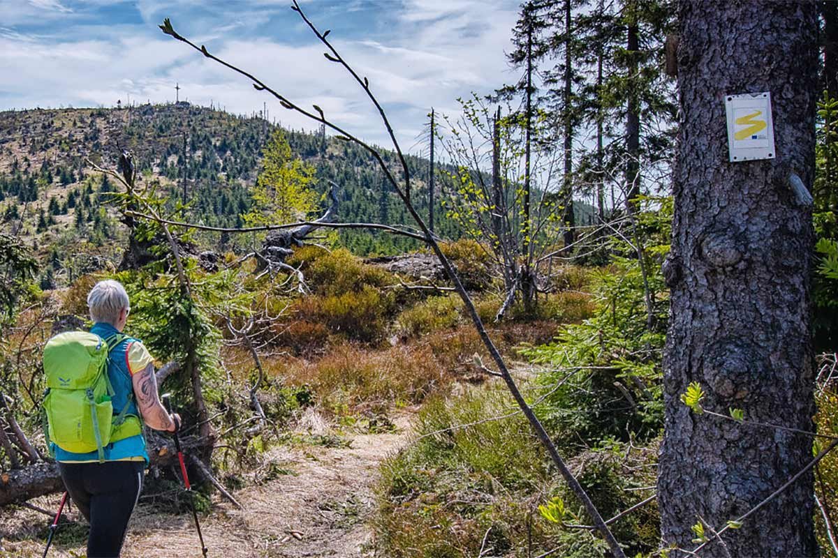 Der Goldsteig Wanderweg