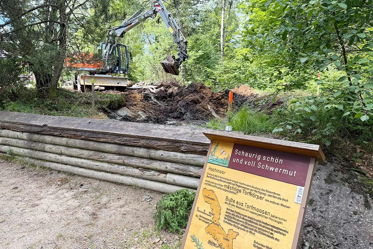 Neues Moor wird zum Lernort im Nationalparkzentrum Lusen