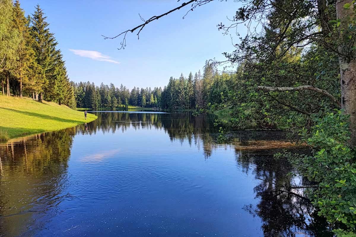 Riedelsbacher Stausee