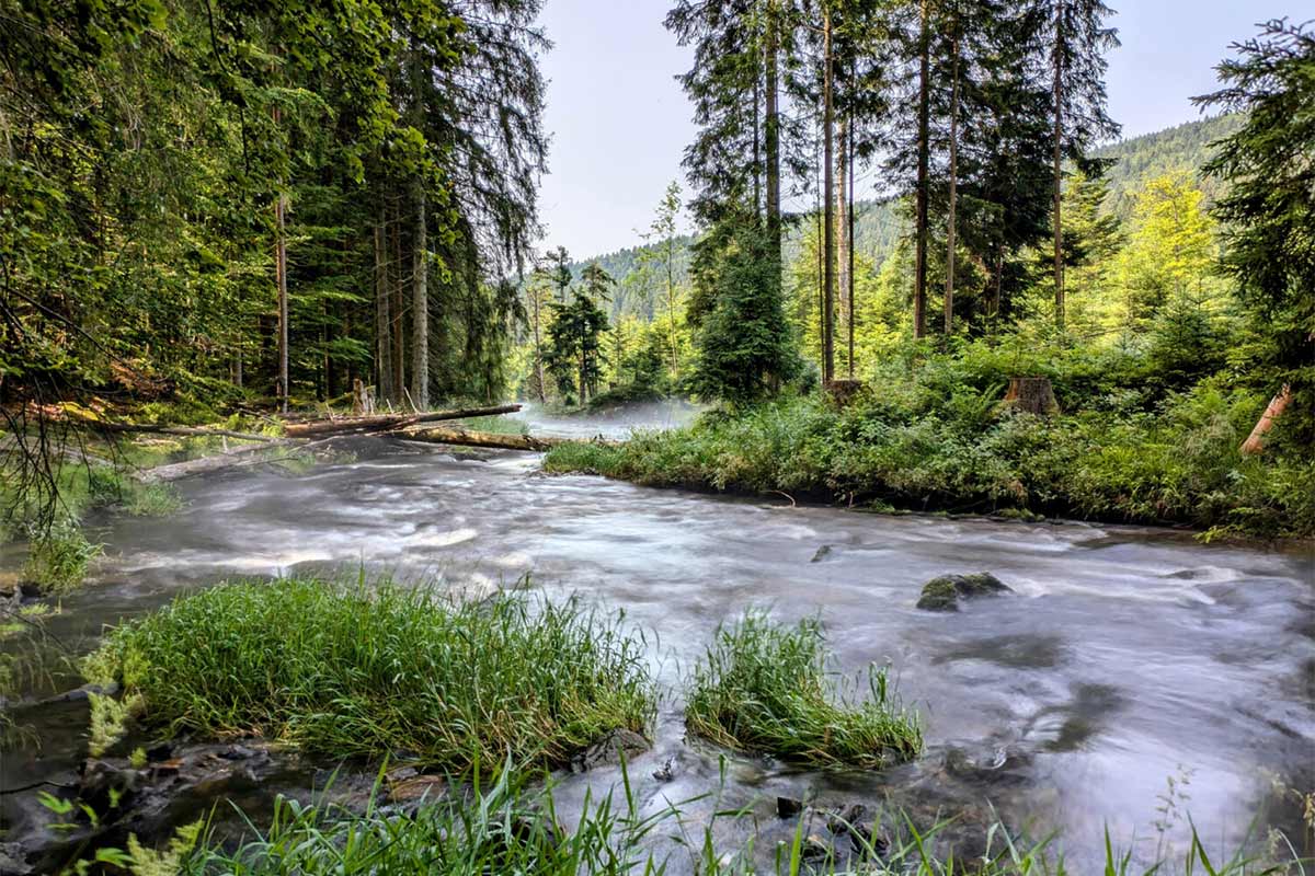 Seebachschleife in Bayerisch Eisenstein