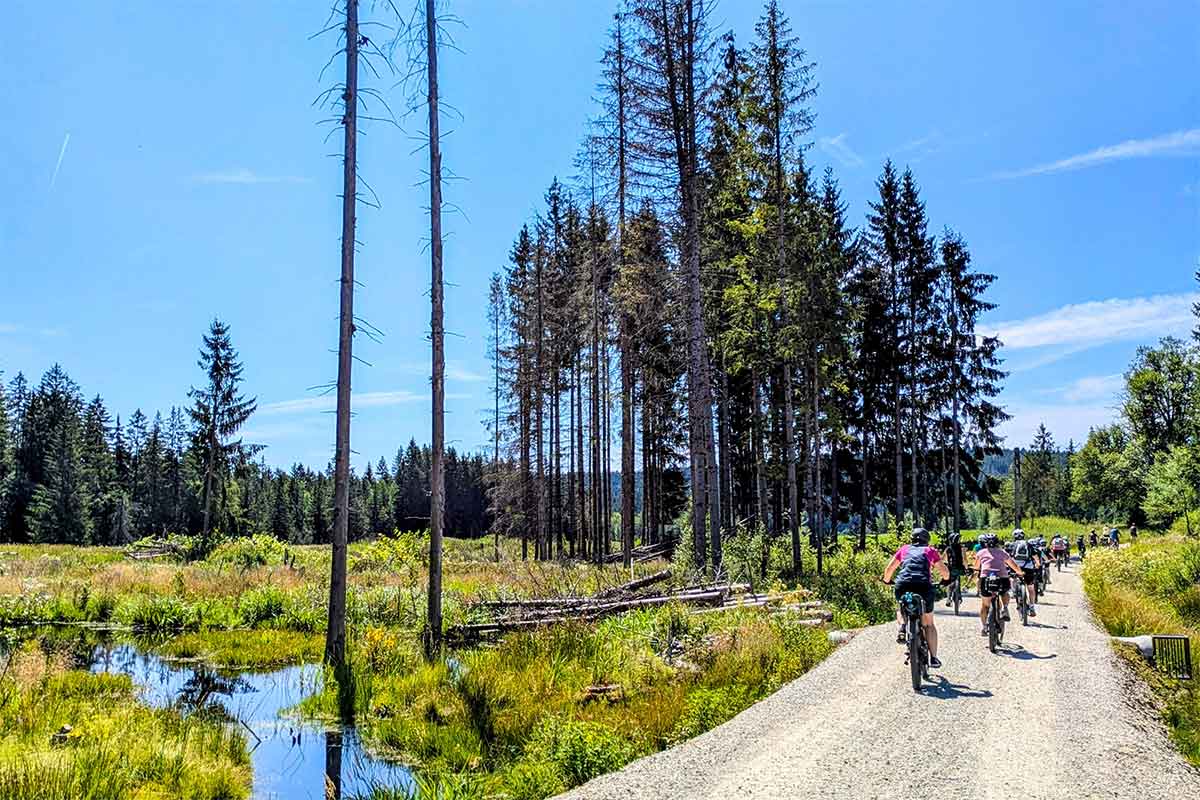 Rekordbeteiligung beim 5-Gänge-Radeln der Ferienregion