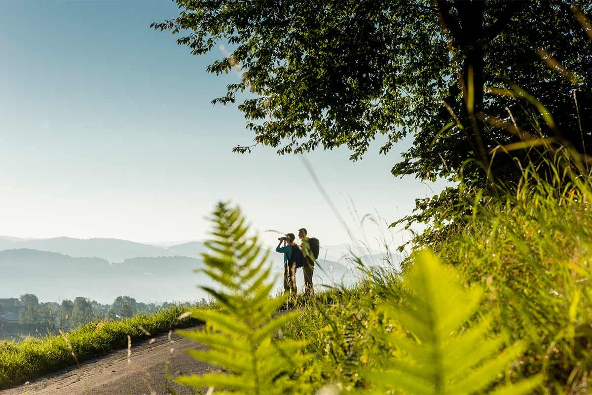 Goldsteig belegt Platz 2 bei “Deutschlands Schönster Wanderweg”
