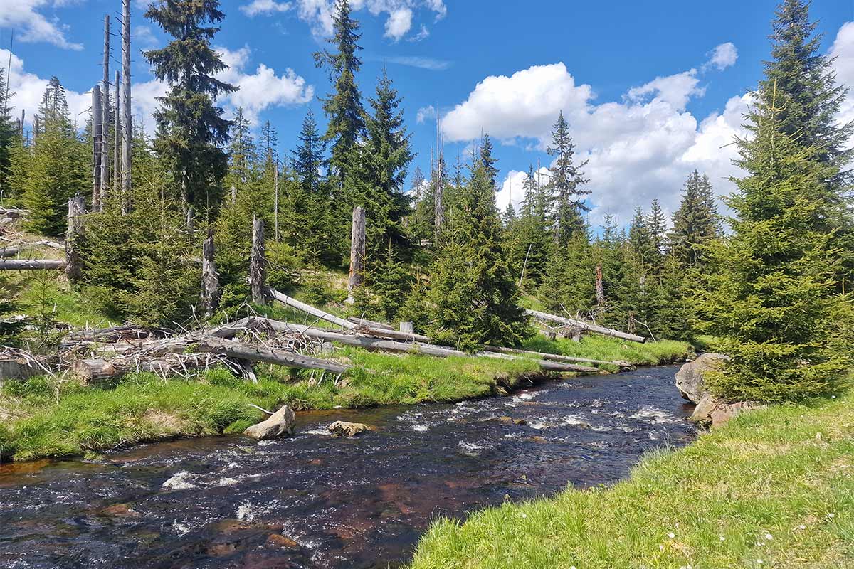Von meditativer Wanderung bis zur sportlichen Radtour