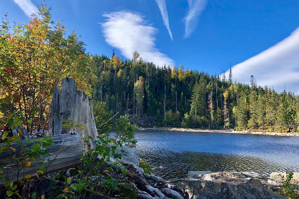 Stubenbacher See in Tschechien