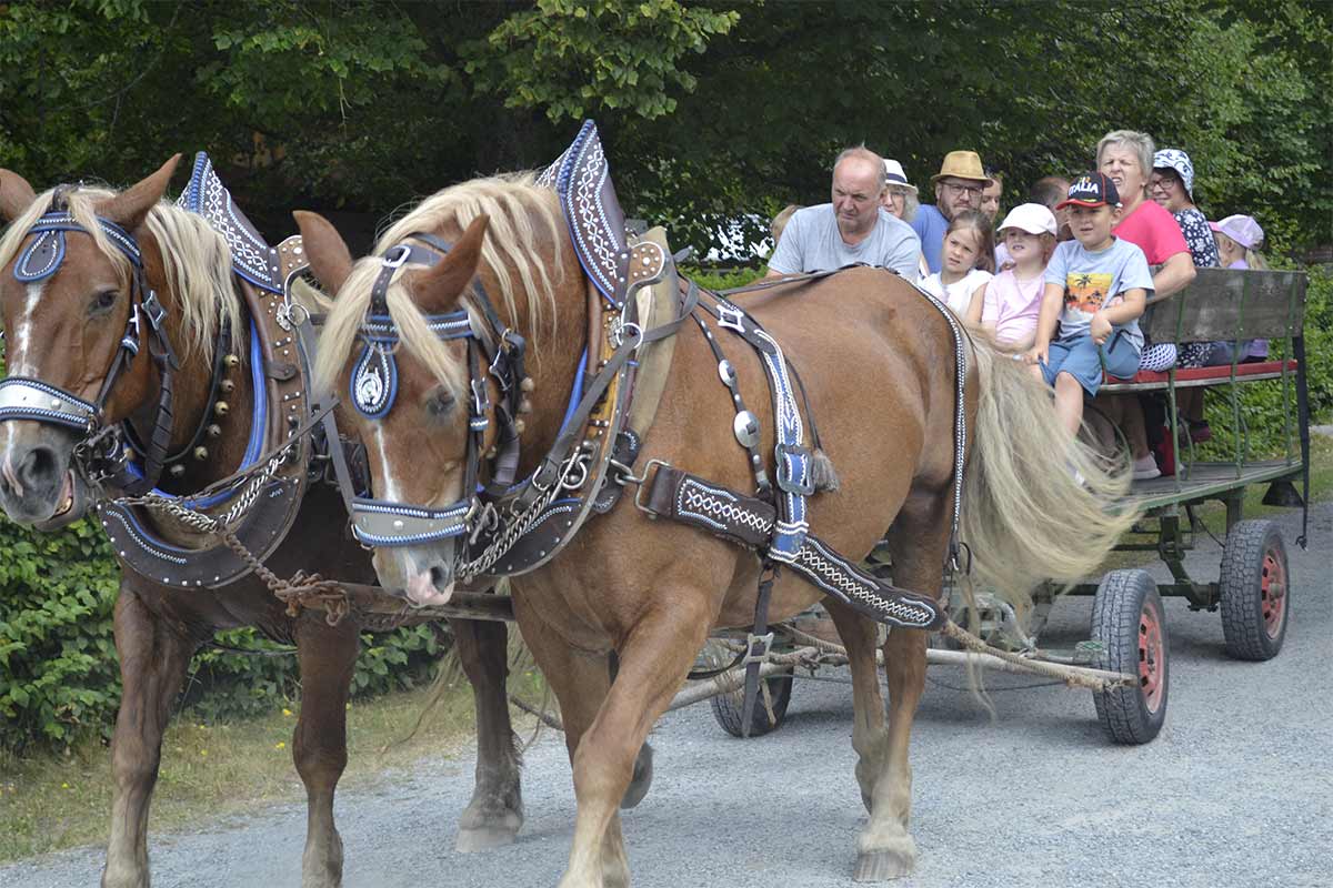 Kinder-Erlebnistag begeistert Besucher im Freilichtmuseum Finsterau