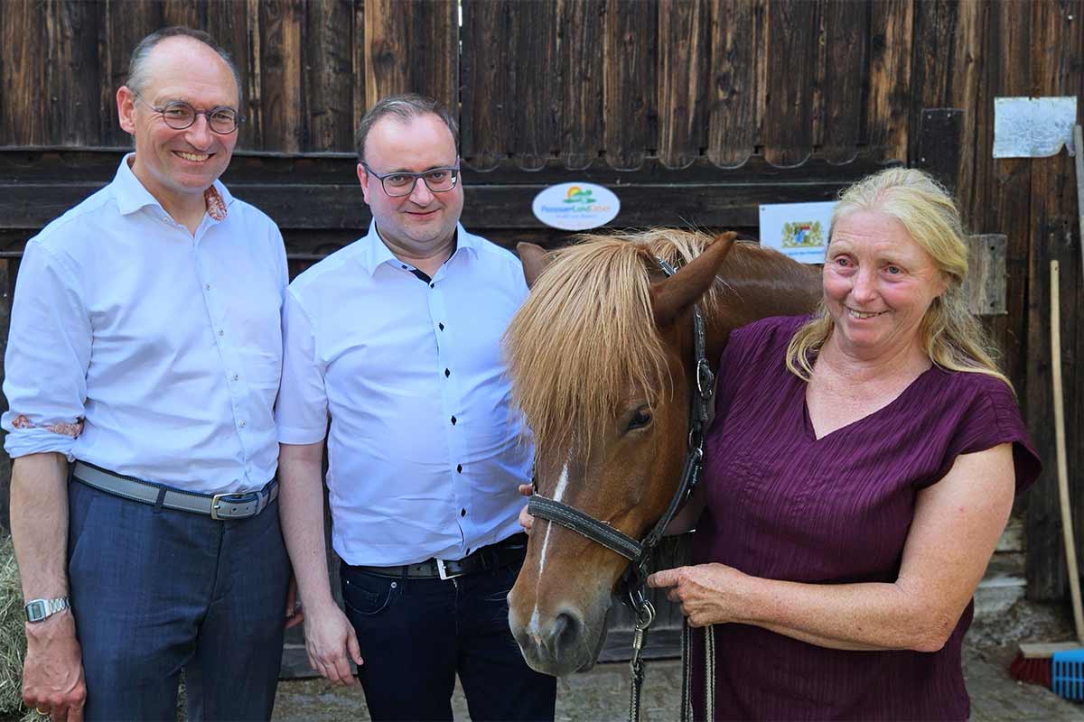 Unsere Hauptmitarbeiter sind die Pferde