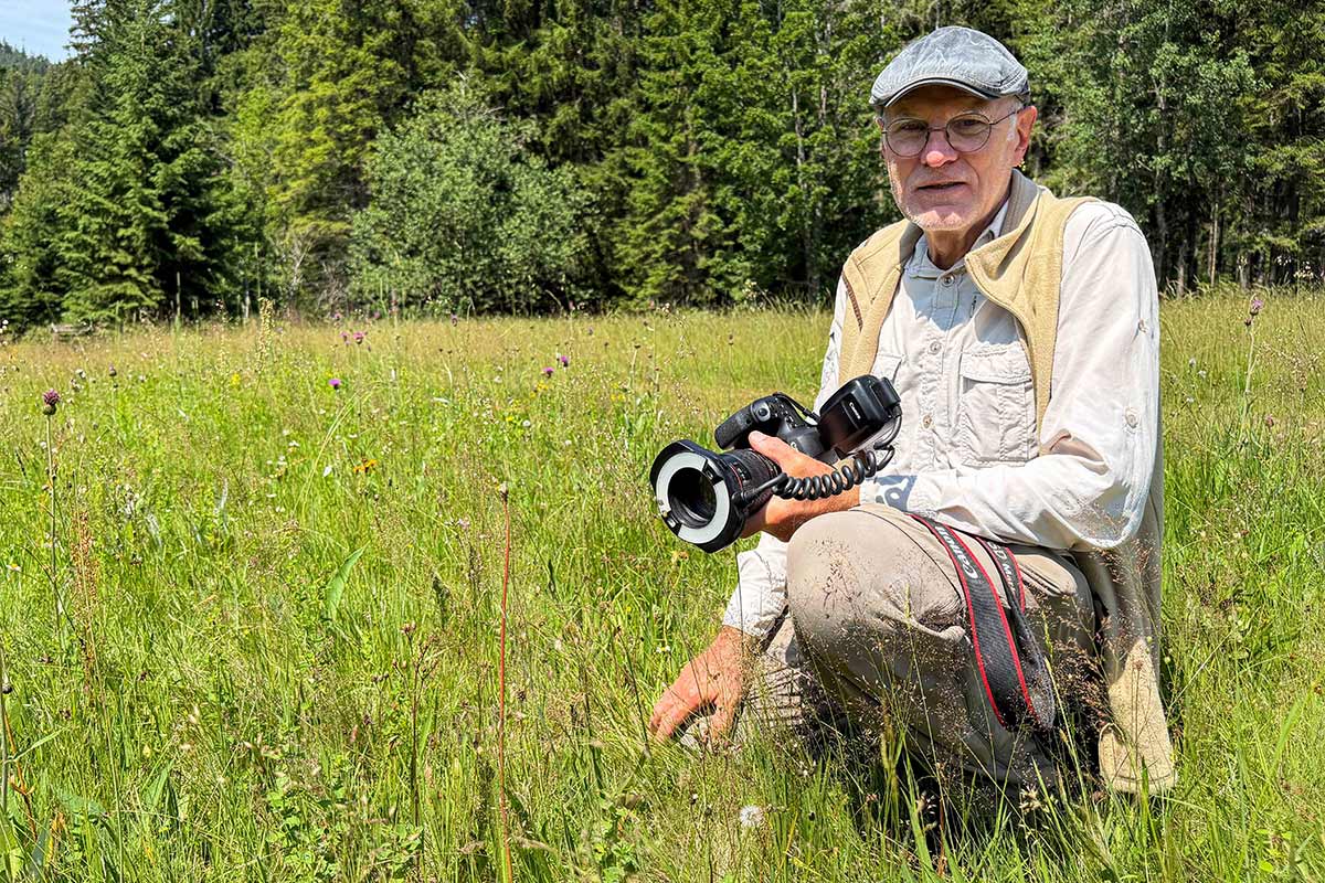 Unglaubliche Schmetterlingsvielfalt im Bayerischen Wald