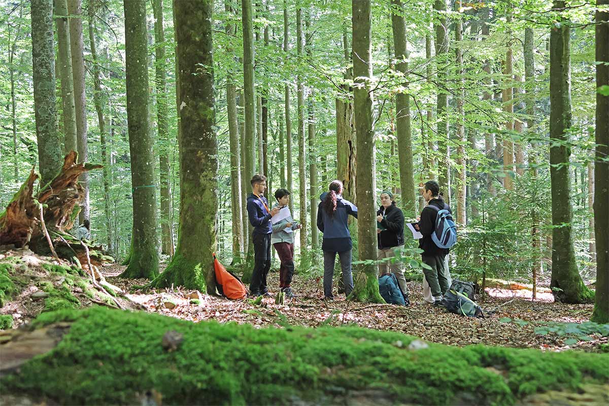 Von der Theorie in die Praxis: Internationale Studierende zu Gast