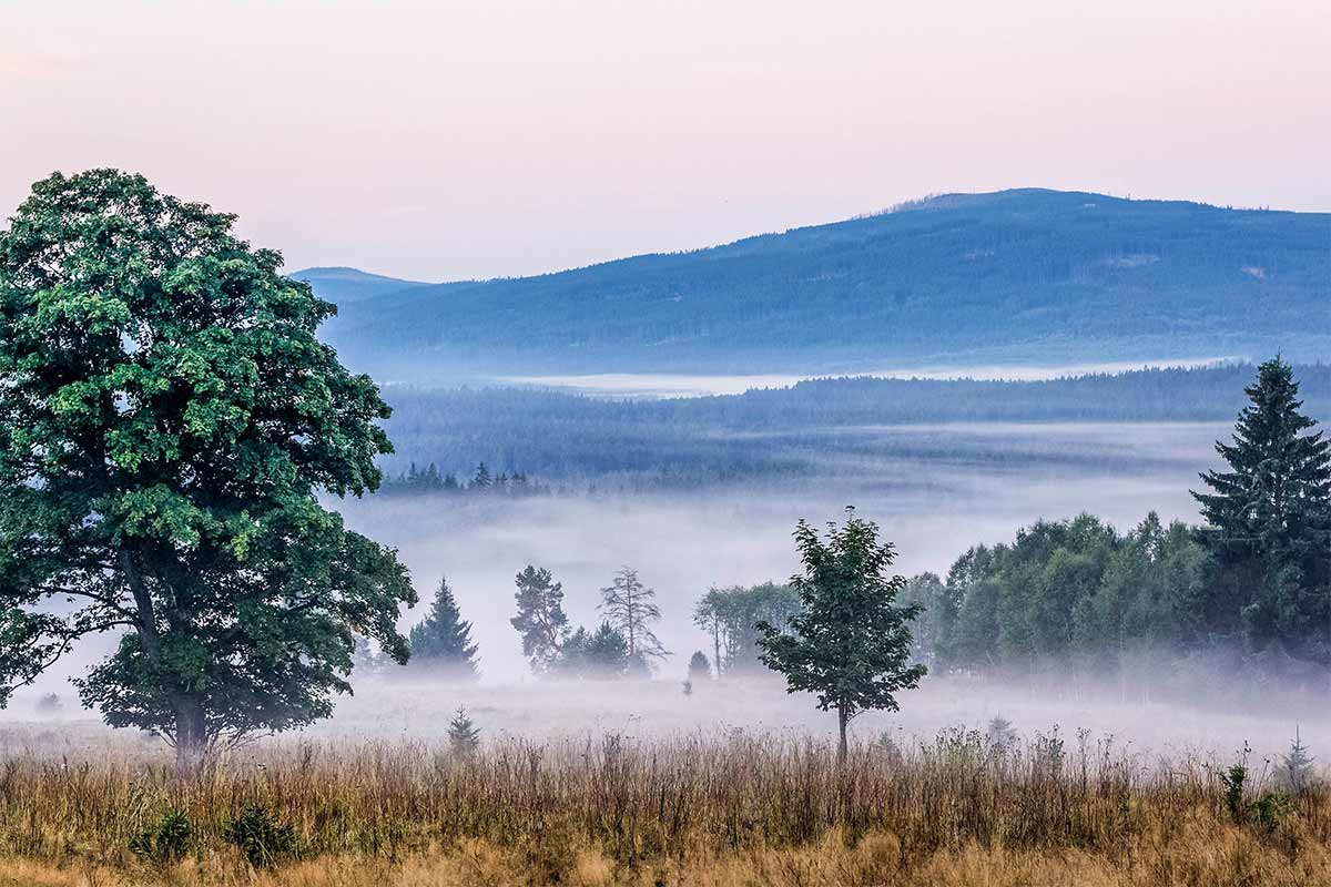 Wilder Böhmerwald: Zweimal grenzenlos besonders