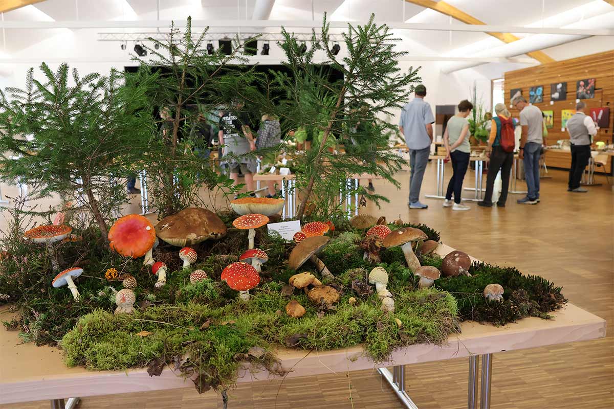 800 Besucher entdecken Woizerl, Dobernigl und Hodersau